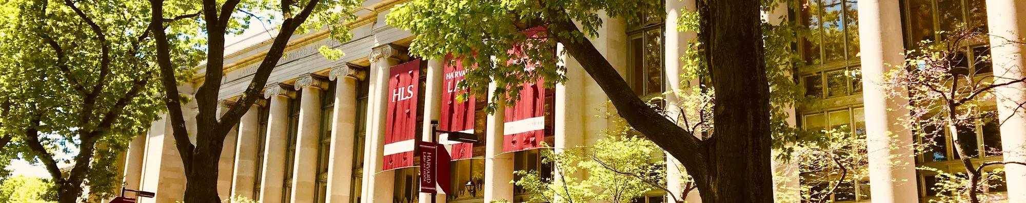 5 programas de intercâmbio com bolsa em Harvard