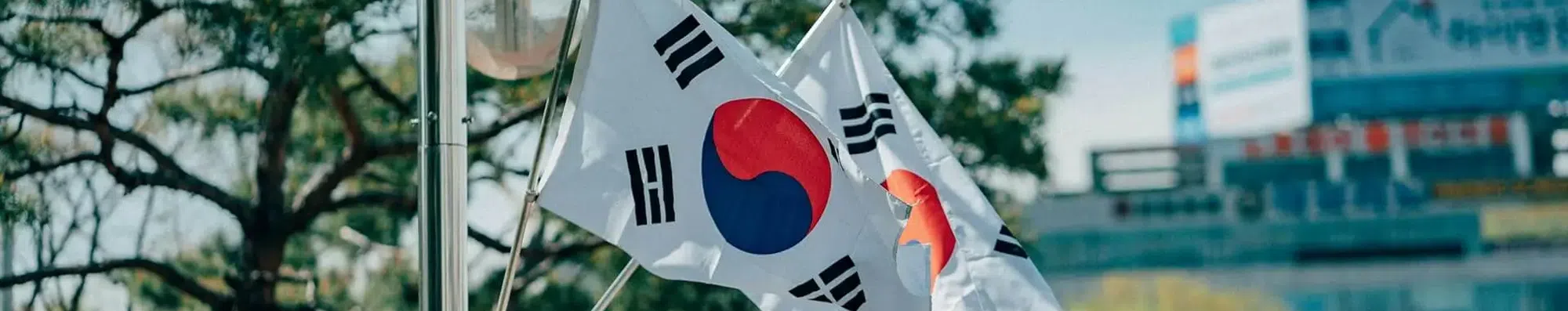 Bolsa de estudos na Coreia do Sul: mestrado com tudo pago na Korea University