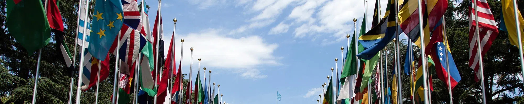 5 razões para fazer mestrado em RI (Relações Internacionais)
