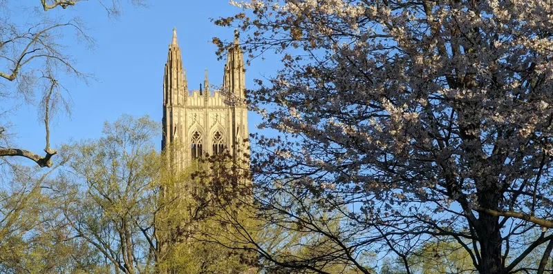 Bolsa para graduação nos EUA: estude na Duke University com tudo pago