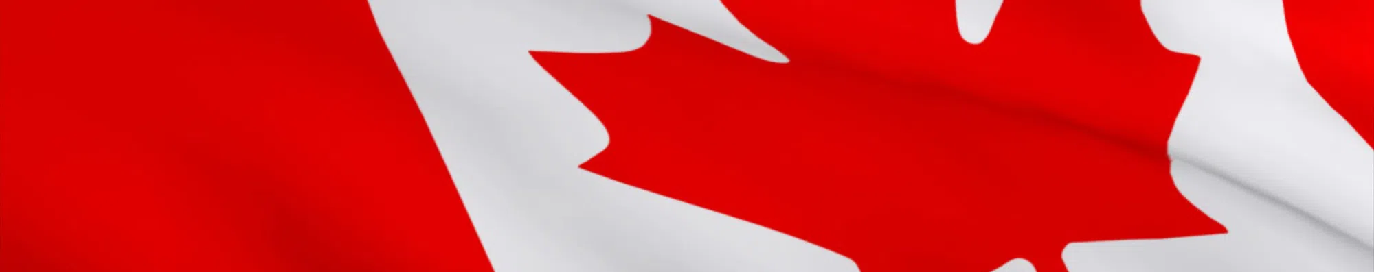Doutorado no Canadá: conheça o programa Vanier