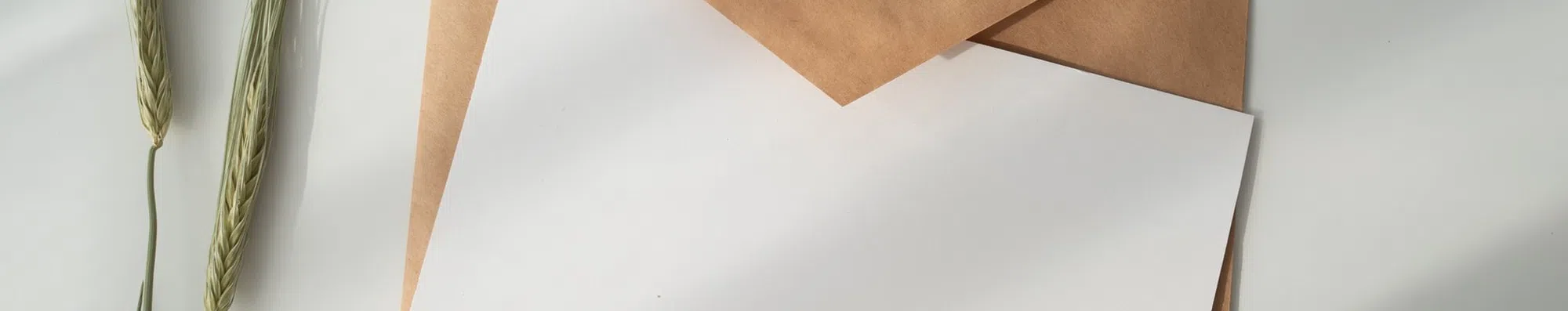 TESTE: Você sabe tudo sobre cartas de recomendação?