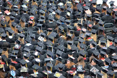 Genial! Harvard oferece 150 cursos online, grátis e certificados! – Blog  Ed4.0