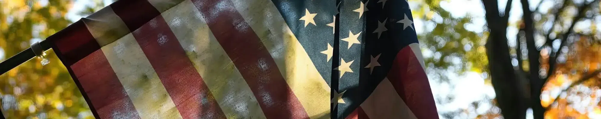 Green Card: você sabe tudo sobre o sonho americano?