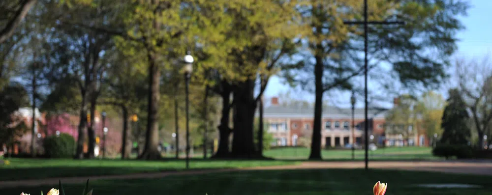 10 universidades mais inovadoras dos EUA