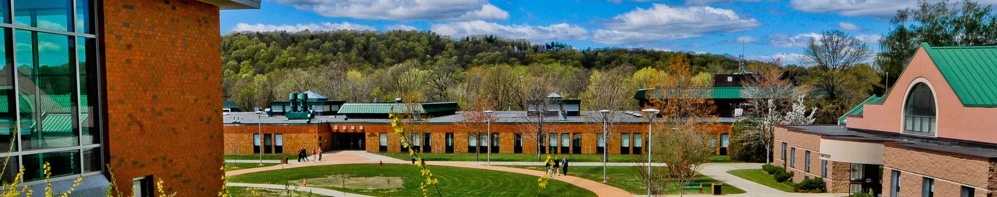 Qual é a diferença entre Technical College e Community College?