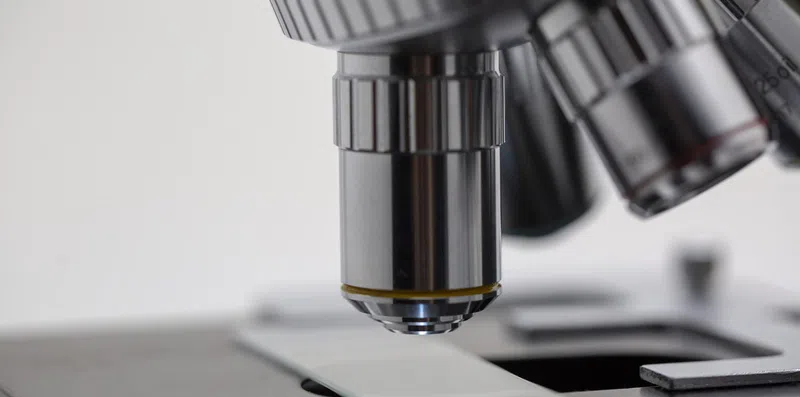 Biologia nos EUA: melhores faculdades