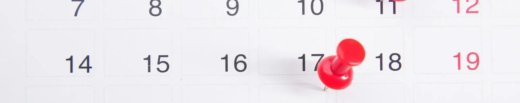 Work and Travel em 30 dias: guia completo
