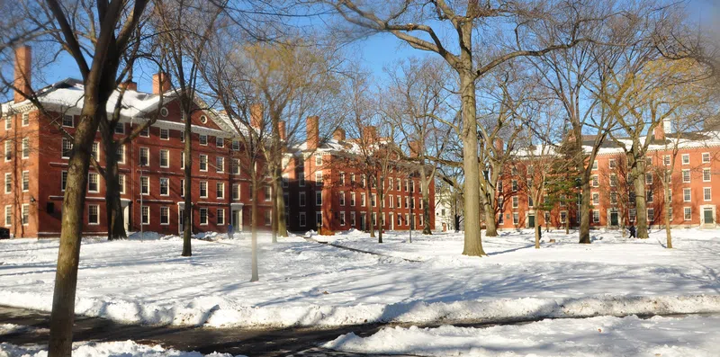 TOP 5 países com mais universidades entre as 100 melhores do mundo
