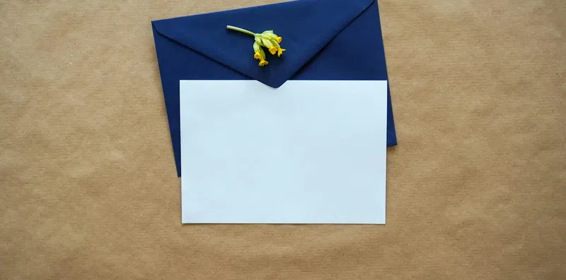 Cartas de recomendação para intercâmbio: guia definitivo