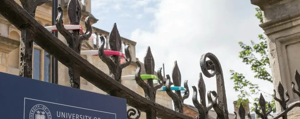 Bolsa de 100% para MBA em Oxford: apoio a empreendedores sociais
