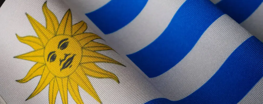 M60 pelo mundo: como a Milena conquistou um Work and Travel no Uruguai