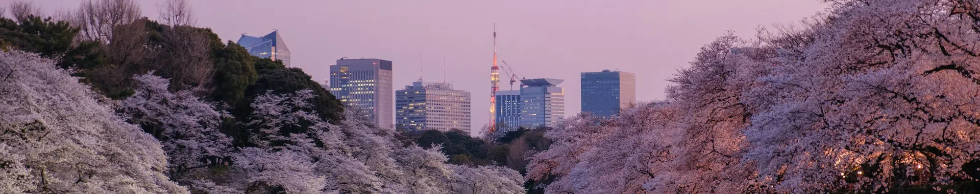 Intercâmbio no Japão: Tóquio ou Osaka?