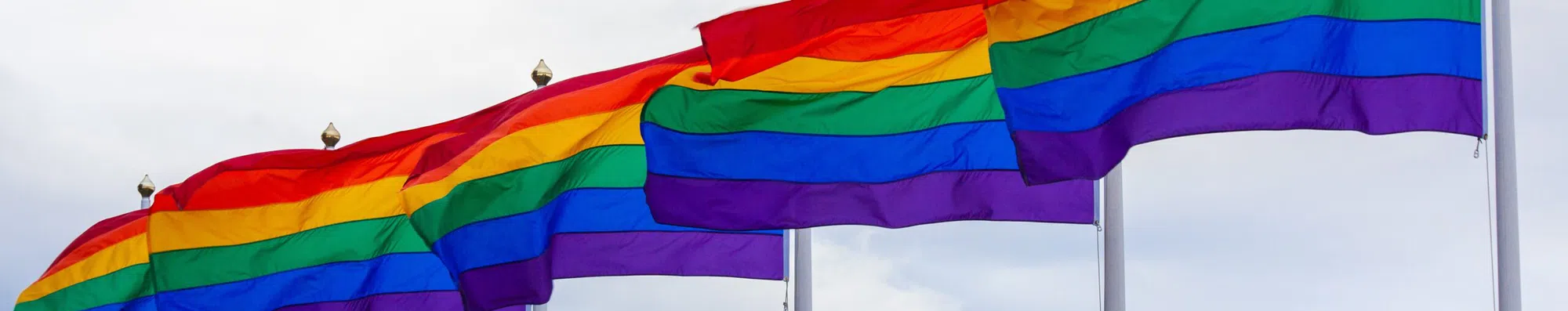 11 universidades mais LGBTQ-friendly dos EUA