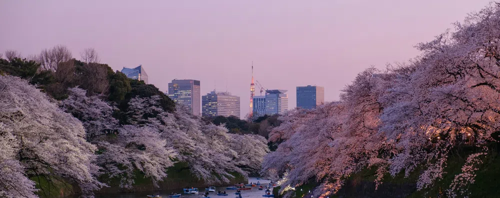 Intercâmbio no Japão: Tóquio ou Osaka?