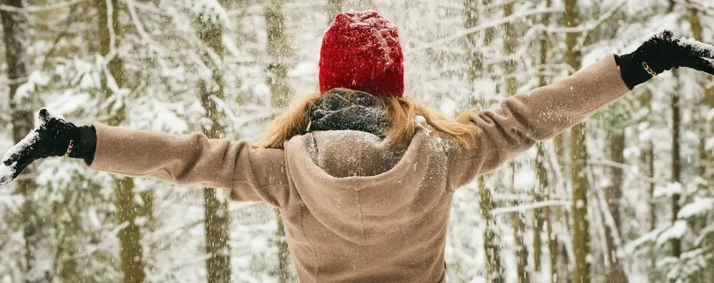 Winter Job para brasileiros: guia completo