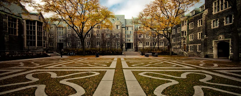 5 cursos online da Universidade de Toronto gratuitos