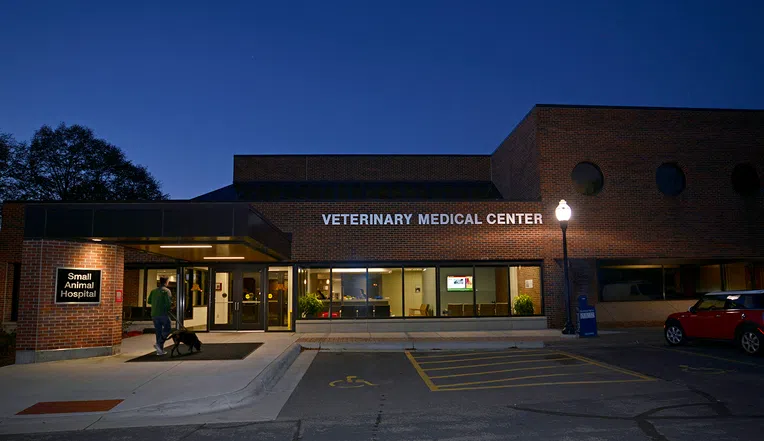 Hospital-veterinário-da-University-of-Minnesota