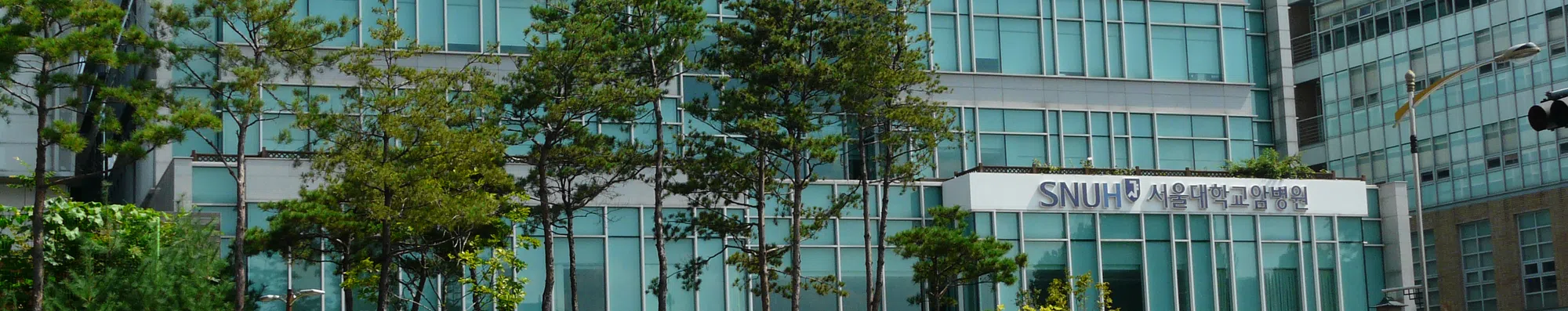 Universidade Nacional de Seul: a melhor da Coreia do Sul