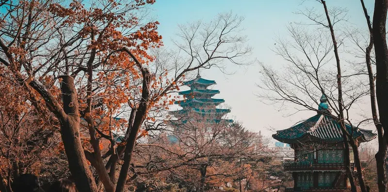 Faculdade na Coreia do Sul: vale a pena para brasileiros?
