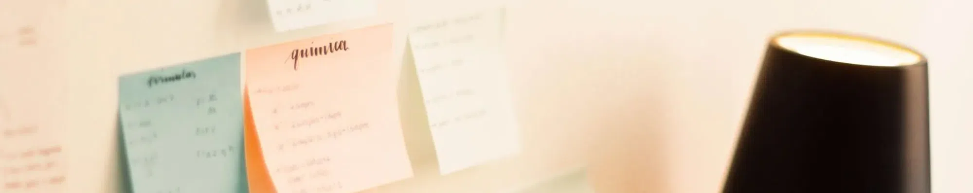 Como revisar tudo o que você aprendeu no idioma ao longo do ano