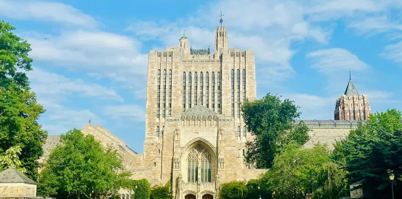 7 universidades internacionais que valorizam habilidades artísticas em candidatos