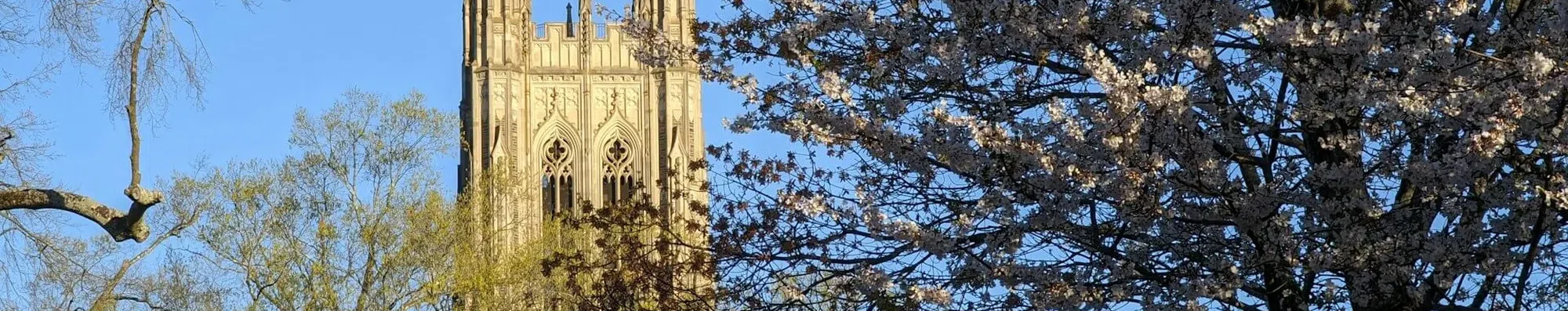 Bolsa para graduação nos EUA: estude na Duke University com tudo pago