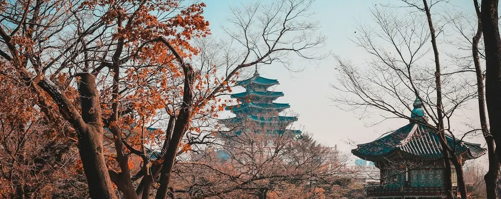 Faculdade na Coreia do Sul: vale a pena para brasileiros?
