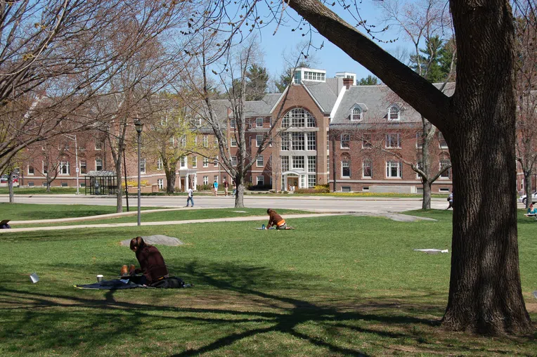 Universidade de Nova Hampshire