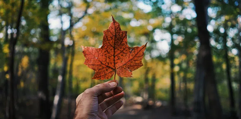 Intercâmbio no Canadá com tudo pago