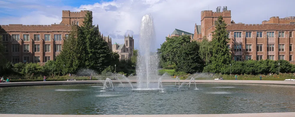 Universidade de Washington: uma das faculdades públicas mais importantes dos EUA