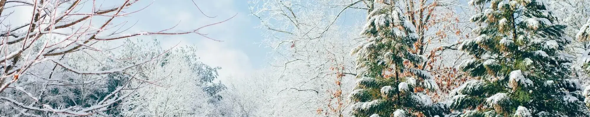 Morar em país com inverno rigoroso: o que muda na rotina
