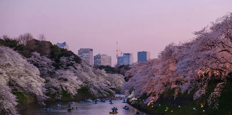 Intercâmbio no Japão: Tóquio ou Osaka?