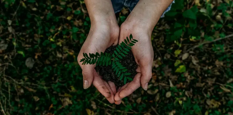 Como estudar sustentabilidade no exterior