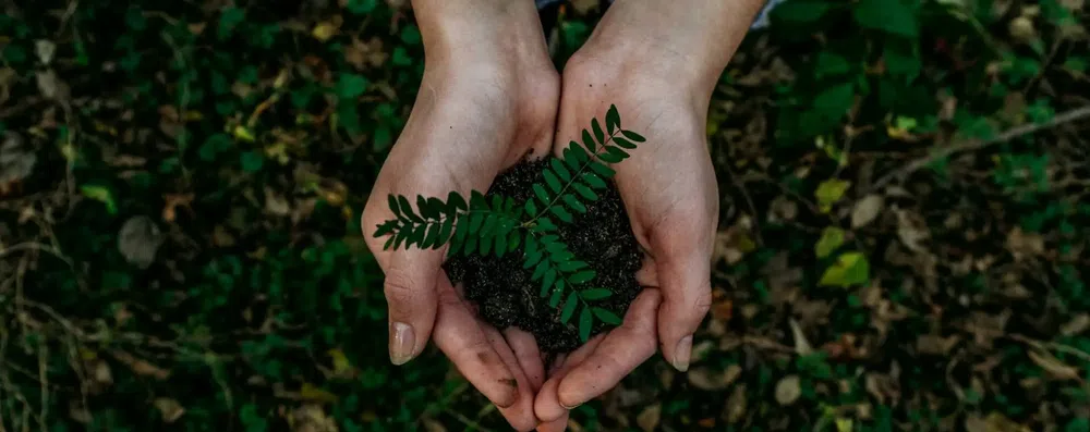 Como estudar sustentabilidade no exterior