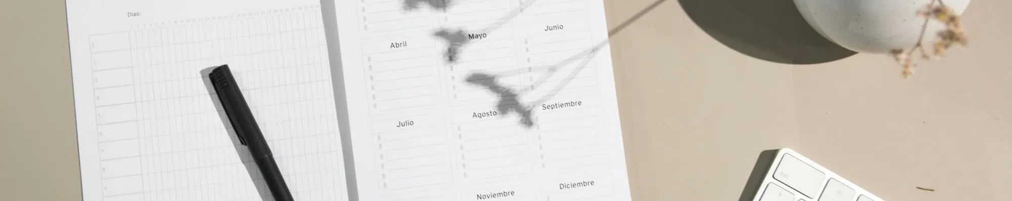 Por que você deveria considerar fazer o TOEFL no início do ano