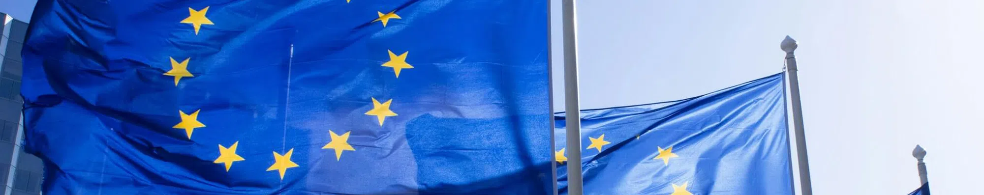Blue Card europeu: o que é e como conseguir