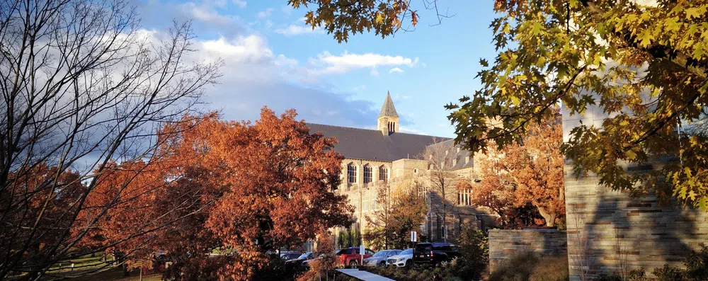 Preciso estudar em uma Ivy League para ser bem-sucedido?