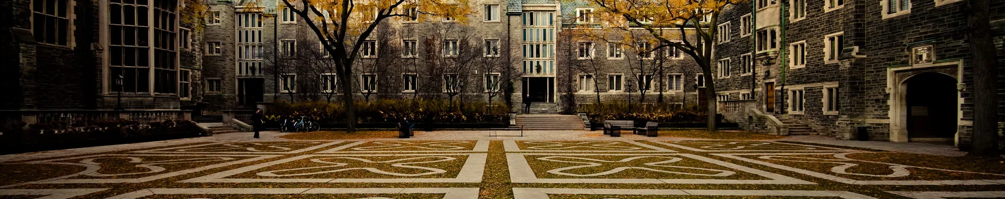 5 cursos online da Universidade de Toronto gratuitos