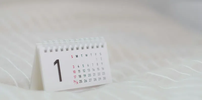 Bolsas que abrem inscrições no começo do ano: como se preparar