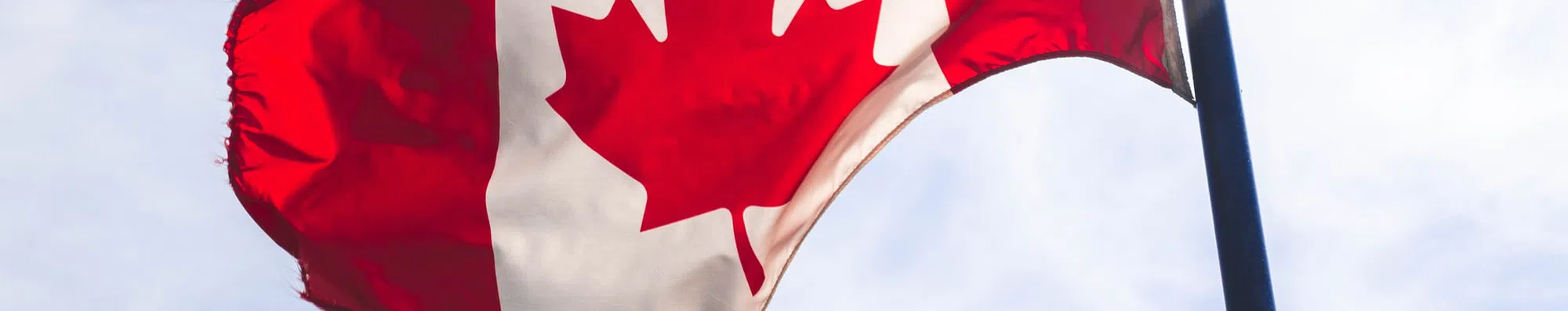 Parceria de empresas oferece bolsas para estudar no Canadá
