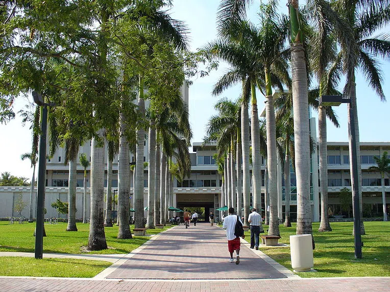 EUA: melhores universidades da Flórida