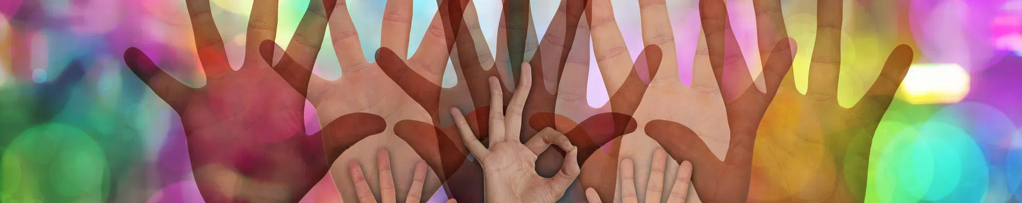 Por que fazer um intercâmbio voluntário?