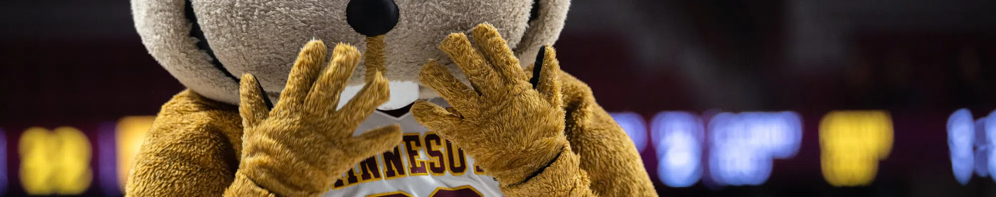 Conheça os mascotes das universidades dos EUA