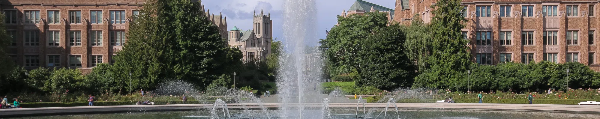 Universidade de Washington: uma das faculdades públicas mais importantes dos EUA