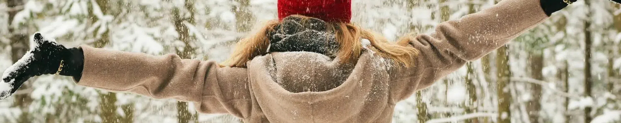 Winter Job para brasileiros: guia completo
