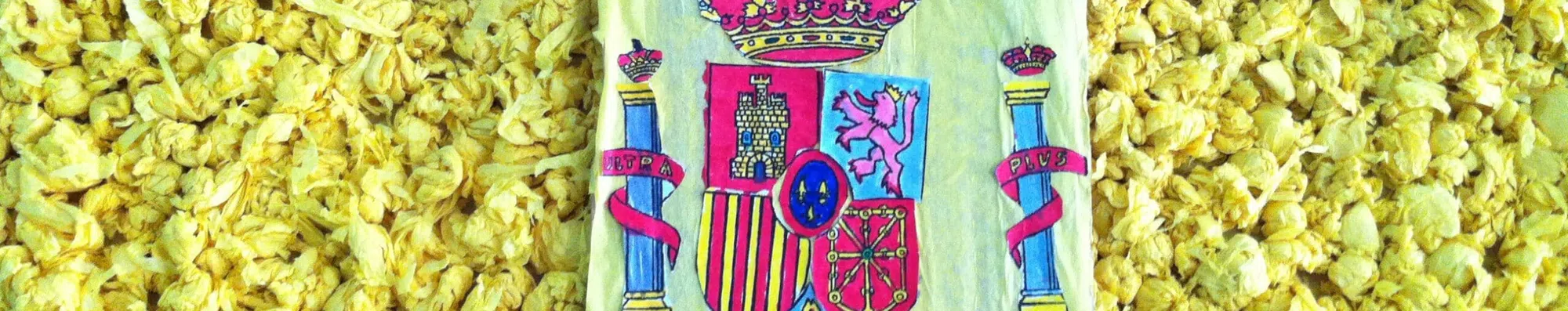 Como estudar espanhol na Espanha com bolsa?