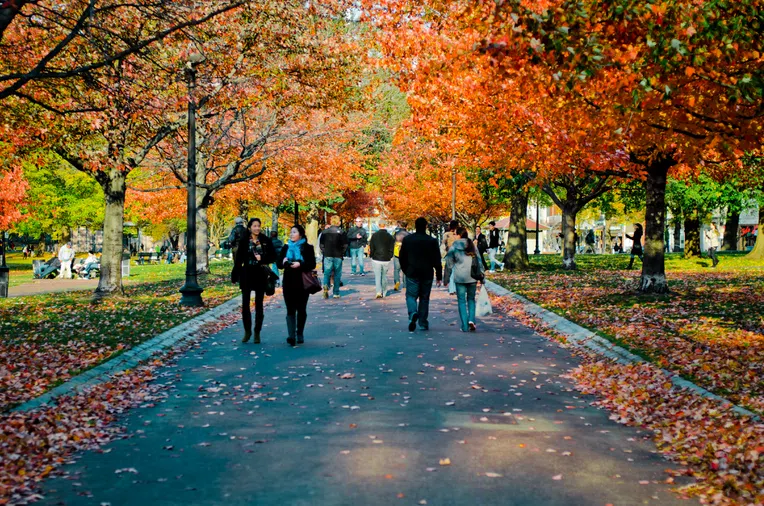 Típica imagem de Boston no outono