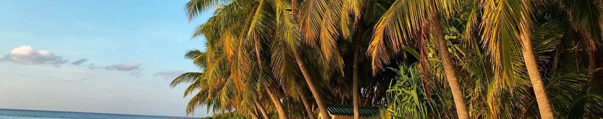 Monte suas férias perfeitas e te daremos um destino de intercâmbio