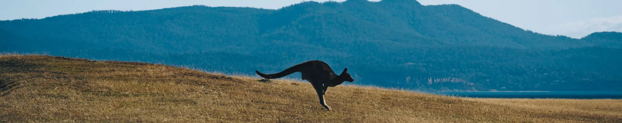 Austrália vai restringir as horas trabalhadas por intercambistas em 2023